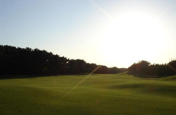 ������S���t��y��