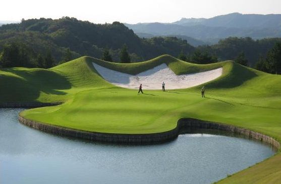 �S���t�T�J���g���[�I�[�N�r���b�a�i���F�I�[�N�r���b�a�S���t�N���u�j