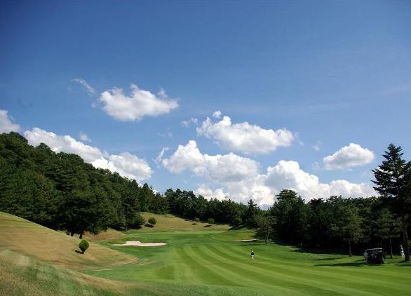 ����z�S���t��y��