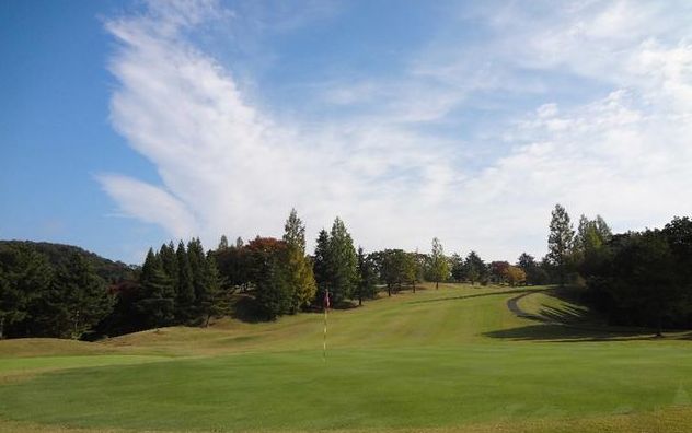 �P���S���t��y��