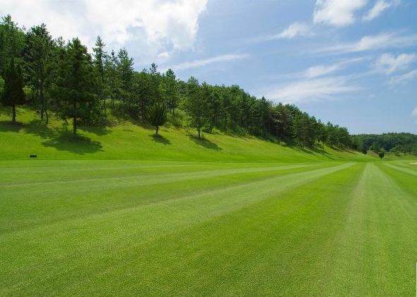 �P�J���g���[�N���u