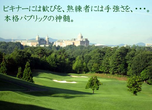 �k�_�˃S���t��