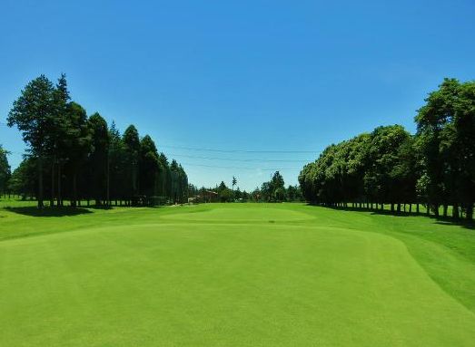 ���ۃ��f�B�[�X�S���t��y��