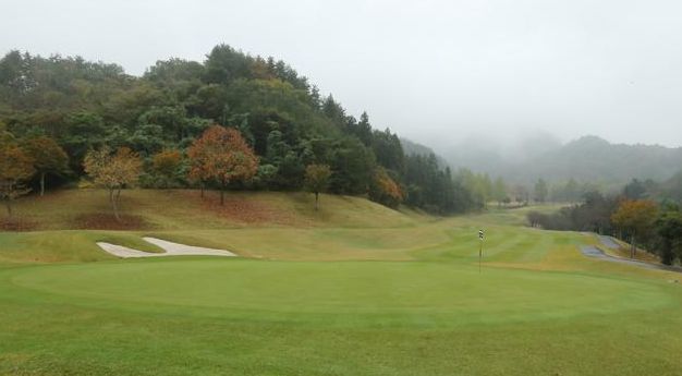 �s�S���t��y��