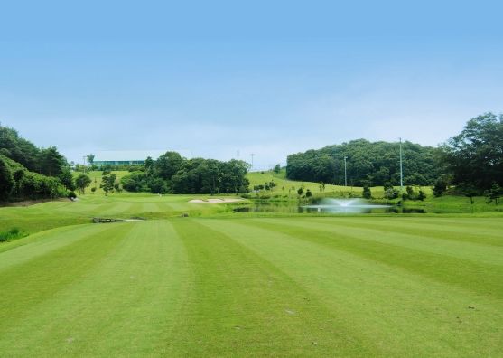 ���[�����C�N�S���t�N���u�@�s���R�[�X