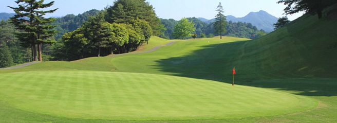 �v����S���t��y��