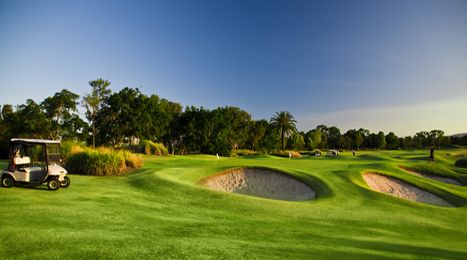 �p�[���q���Y�S���t���]�[�g�N���u