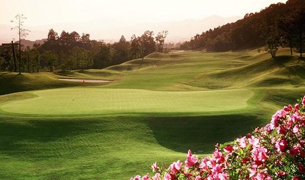 ���[�T���S���t���X�p���]�[�g