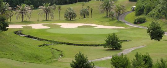 �匴�S���t��y��