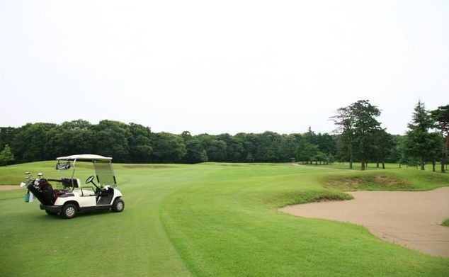 �Ⓦ�S���t�N���u(���F�V�����S���t�N���u)