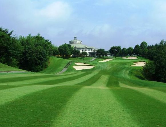 ����S���t�N���u