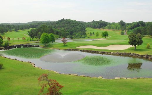 �����S���t��y��